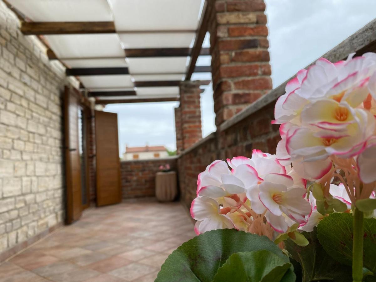Paradise Villa Cassonni Istria 4 Stars Butkovići 외부 사진